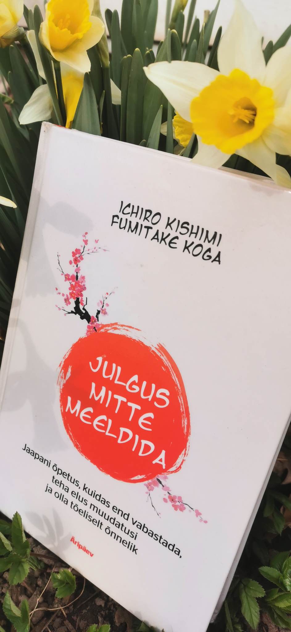 Julgus mitte meeldida