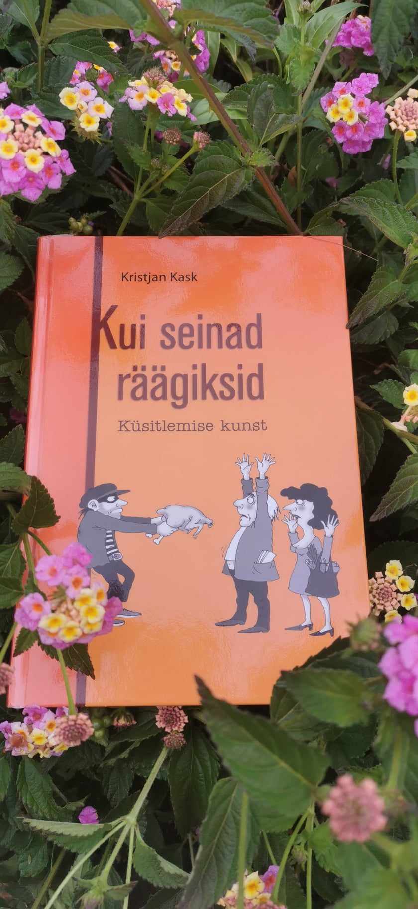 Kui seinad räägiksid